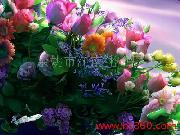 WS-9011ָz(֦~)